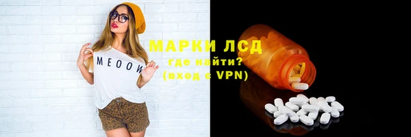 СК Медвежьегорск