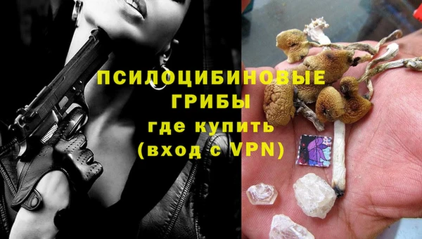 эйфоретик Медногорск