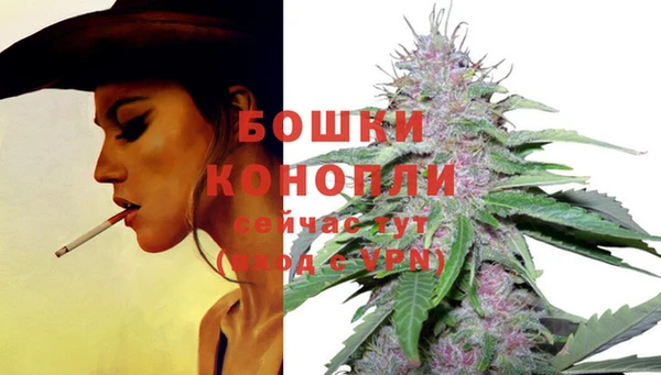 бутират Мегион