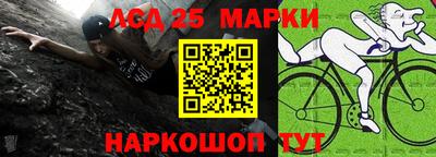 индика Кандалакша
