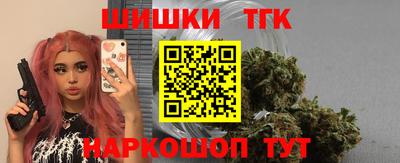 индика Кандалакша