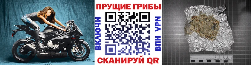 купить наркоту  Ярославль  Псилоцибиновые грибы Magic Shrooms 