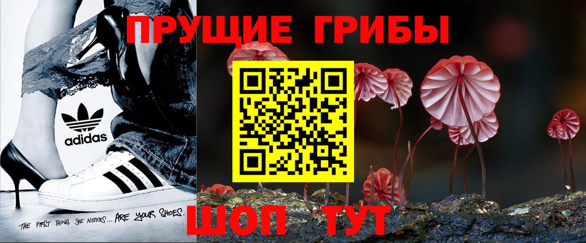 Галлюциногенные грибы Cubensis Ярославль