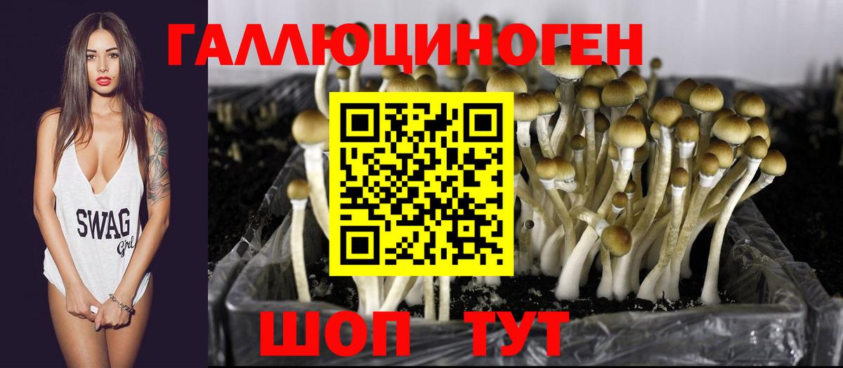 Ярославль  Псилоцибиновые грибы прущие грибы  Вход с VPN  Галлюциногенные грибы мухоморы 